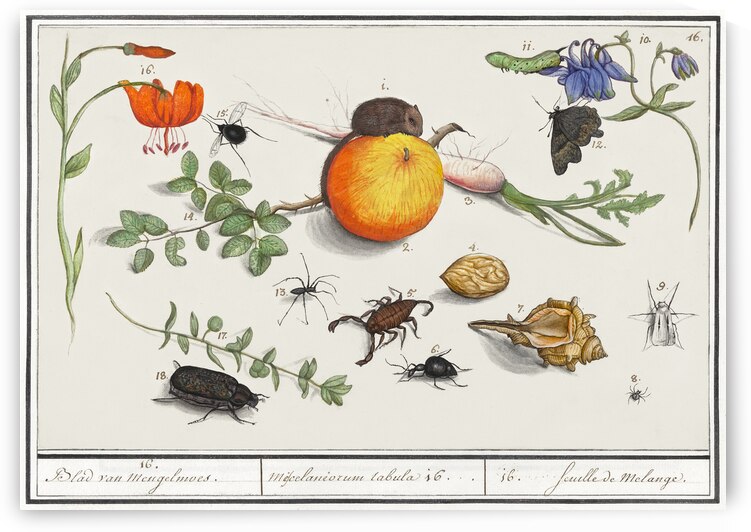 Nature ensemble in vintage style by IStockHistory com