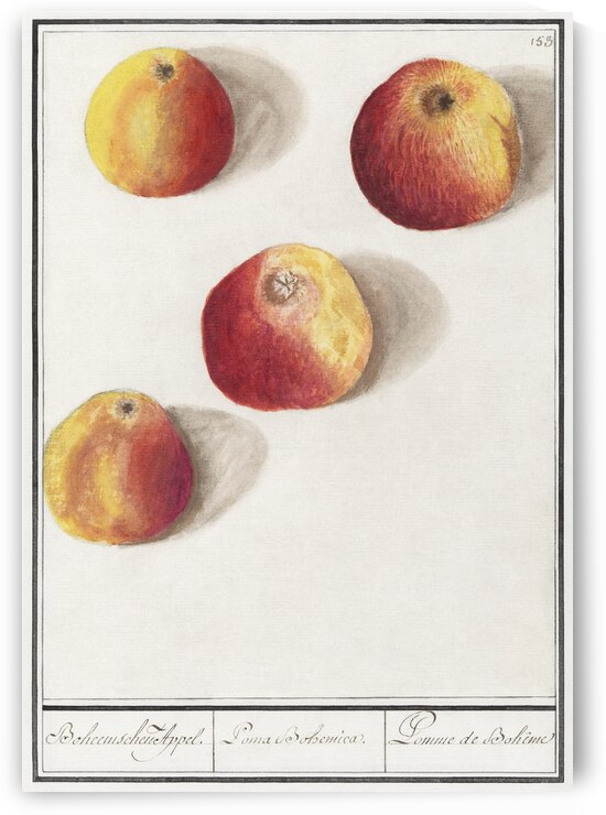 Apple in vintage style by IStockHistory com