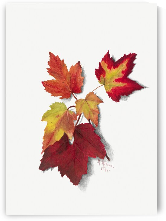 Autumn Leaves 1874 by IStockHistory com