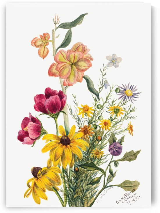 Group of Flowers 1881 by IStockHistory com