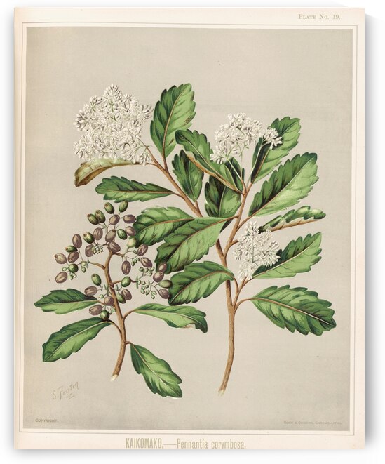 Sarah Featon 019 by IStockHistory com