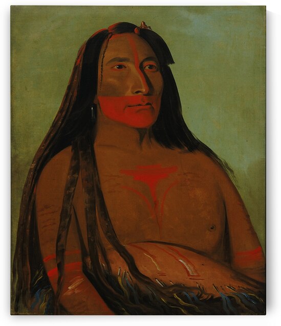 Máh-to-tóh-pa Four Bears Second Chief in Mourning by IStockHistory com