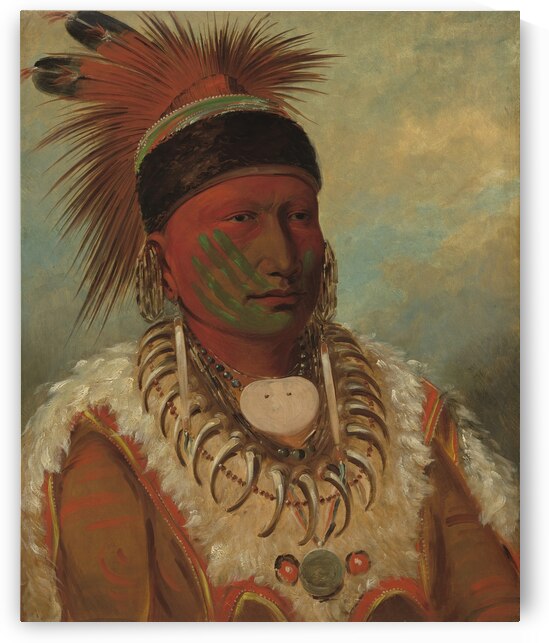 The White Cloud Head Chief of the Iowas 1844-1845 by IStockHistory com
