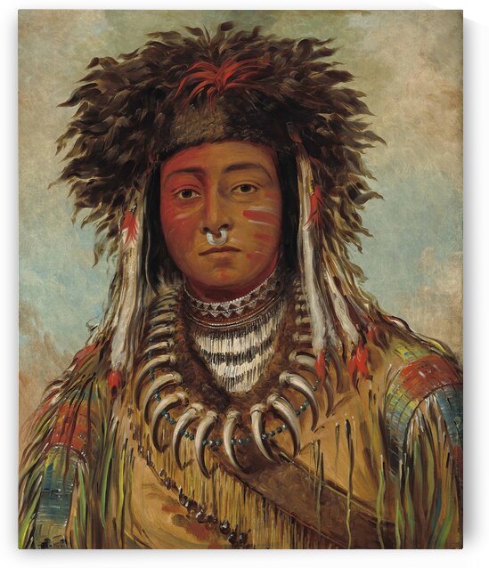 Boy Chief – Ojibbeway 1843 by IStockHistory com