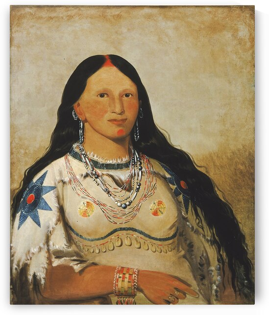 Mi-Néek-Ee-Súnk-Te-Ka Mink a Beautiful Girl 1832 by IStockHistory com