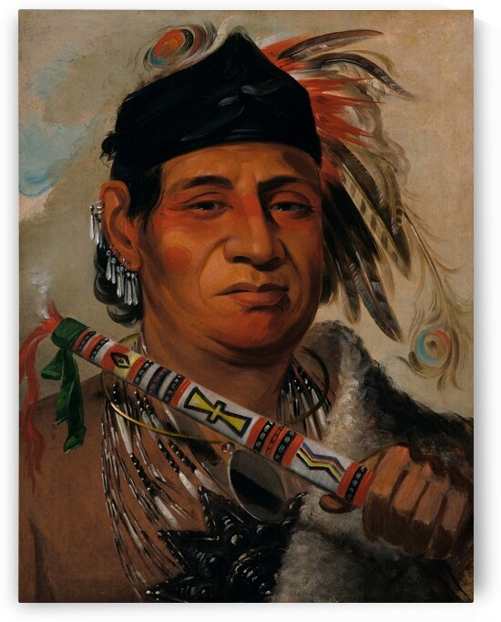 Mah-Kée-Mee-Teuv Grizzly Bear Chief of The Tribe 1831 by IStockHistory com