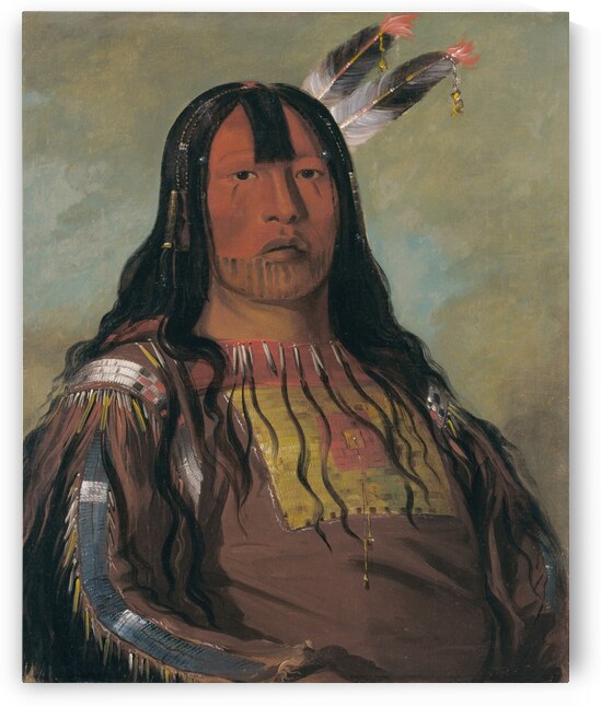 Mix-Ke-Móte-Skin-Na Iron Horn a Warrior 1832 by IStockHistory com