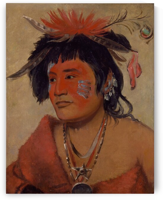 Pah-Shee-Náu-Shaw a Warrior 1831 by IStockHistory com