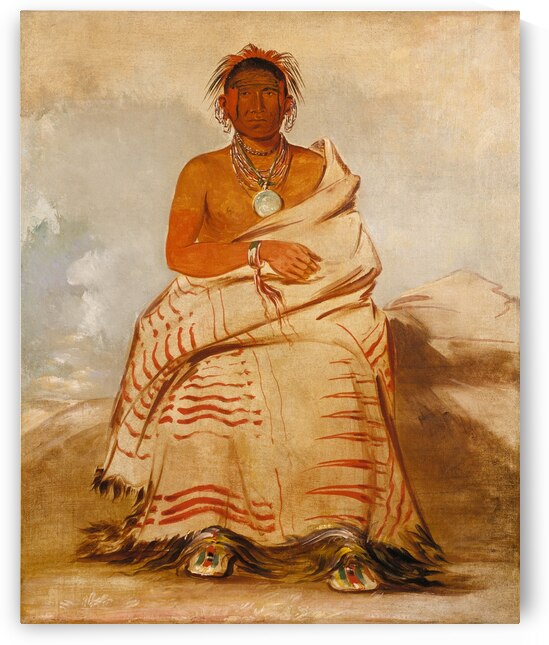 L’har-E-Tar-Rúshe Ill-Natured Man a Skidi Wolf Pawnee 1832 by IStockHistory com
