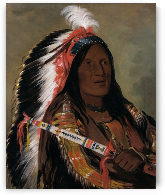 Táh-Téck-A-Da-Háir Steep Wind a Brave of The Bad Arrow Points Band 1832 by IStockHistory com