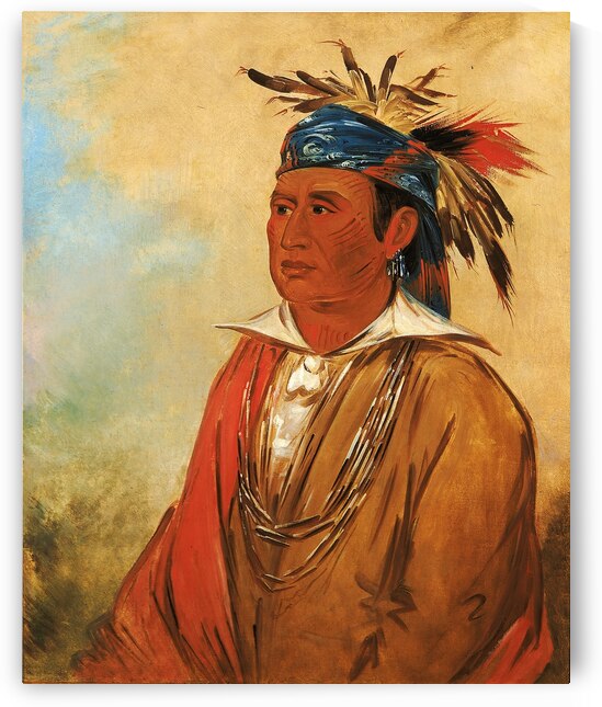 Wah-Pón-Jee-A The Swan a Warrior 1830 by IStockHistory com