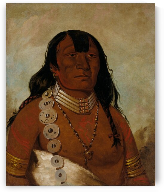 Téh-Tóot-Sah Better Known As Tohausen Little Bluff First Chief 1834 by IStockHistory com