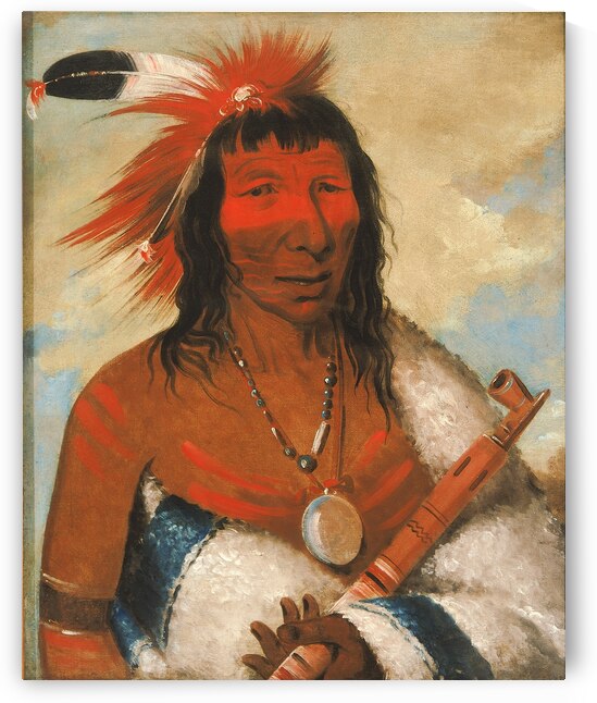 Wá-Nah-De-Túnk-Ah Big Eagle Or Black Dog Chief of The O-Hah-Kas-Ka-Toh-Y-An-Te Band 1835 by IStockHistory com