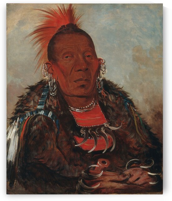 Wah-Ro-Née-Sah The Surrounder Chief of The Tribe 1832 by IStockHistory com