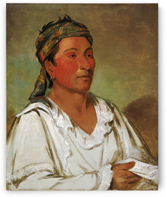 Lay-lóo-ah-pee-ái-shee-kaw Grass Bush and Blossom Semicivilized 1830 by IStockHistory com