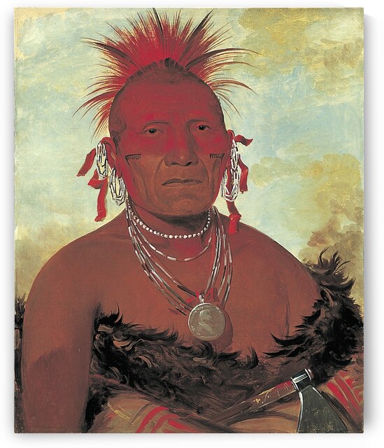 Shón-ka-ki-he-ga Horse Chief Grand Pawnee Head Chief 1832 by IStockHistory com