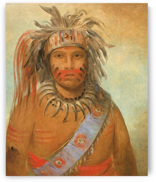 Au-nim-muck-kwa-um Tempest Bird 1845 by IStockHistory com