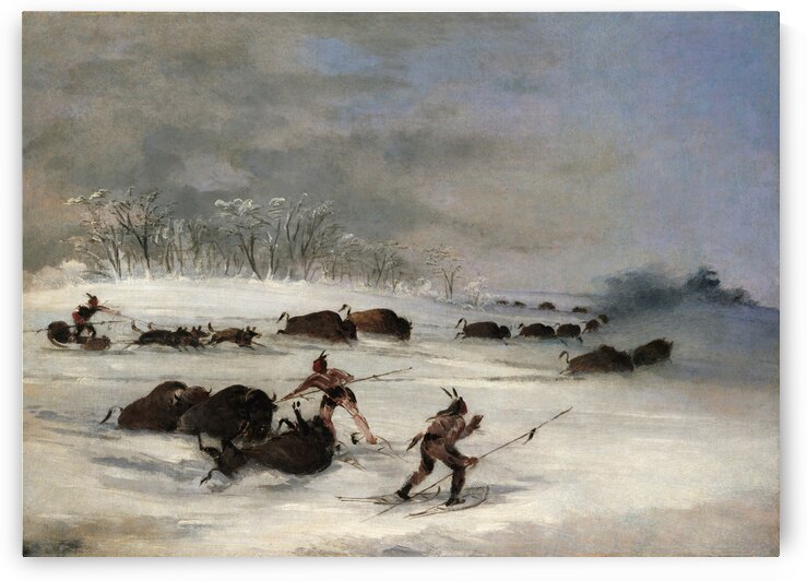 Sioux Indians On Snowshoes Lancing Buffalo 1846-1848 by IStockHistory com