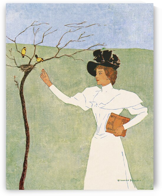 Woman reaching for birds 1894 by Edward Penfield by IStockHistory com
