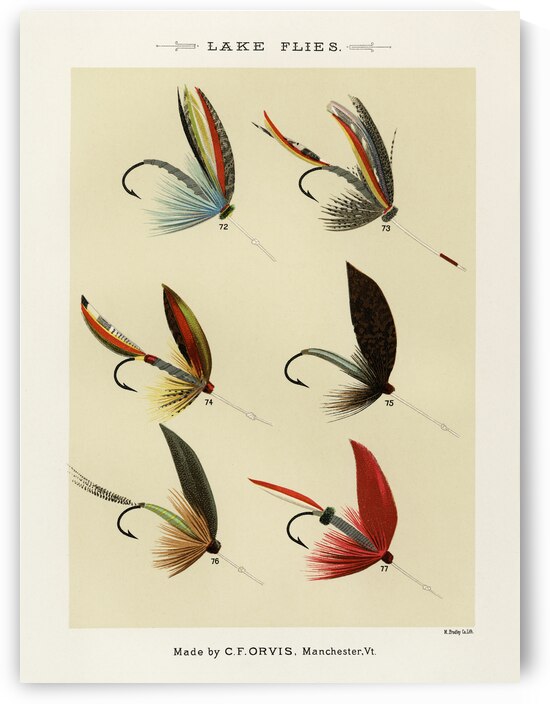 Mary Orvis Marbury 027 by IStockHistory com