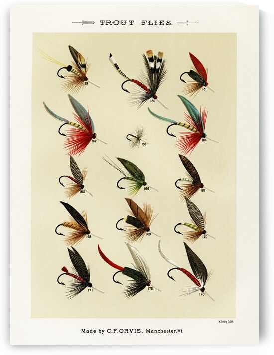 Trout Flies  by IStockHistory com