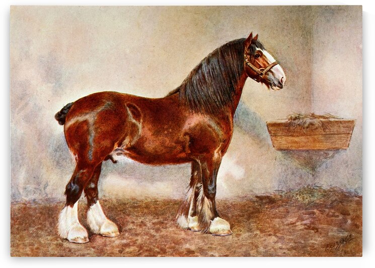 Clydesdale Stallion Prince of Albion Frank Babbage English 1858–1916 by IStockHistory com