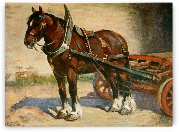 A Typical Clydesdale Frederic Whiting English 1874–1962 by IStockHistory com