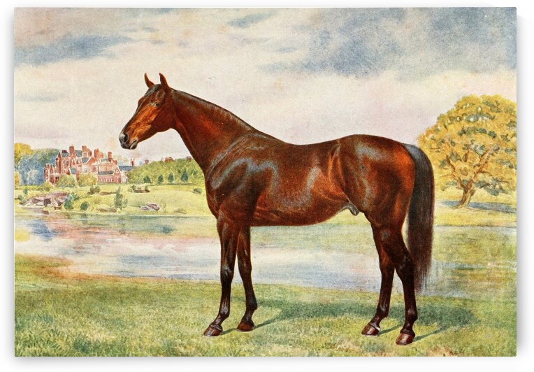 Persimmon by IStockHistory com