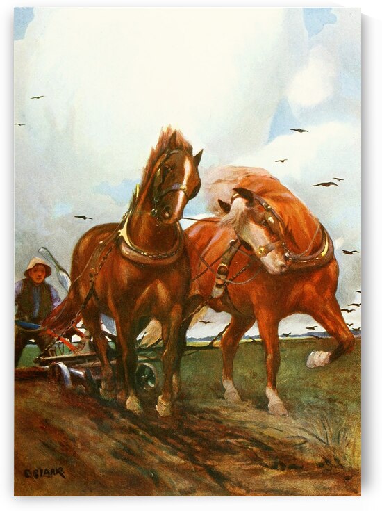 Suffolk Horses Christopher Clark English 1875–1942 by IStockHistory com