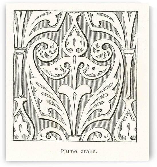 Arabic feather design. 1888 edition Lornement Polychrome by Albert Racine 1825–1893. by IStockHistory com