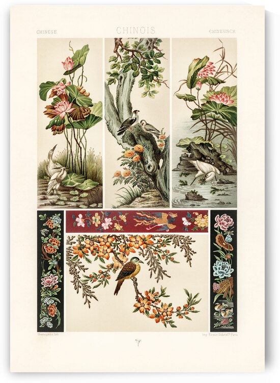 Chinese pattern. 1888 edition Lornement Polychrome by Albert Racine 1825–1893. by IStockHistory com