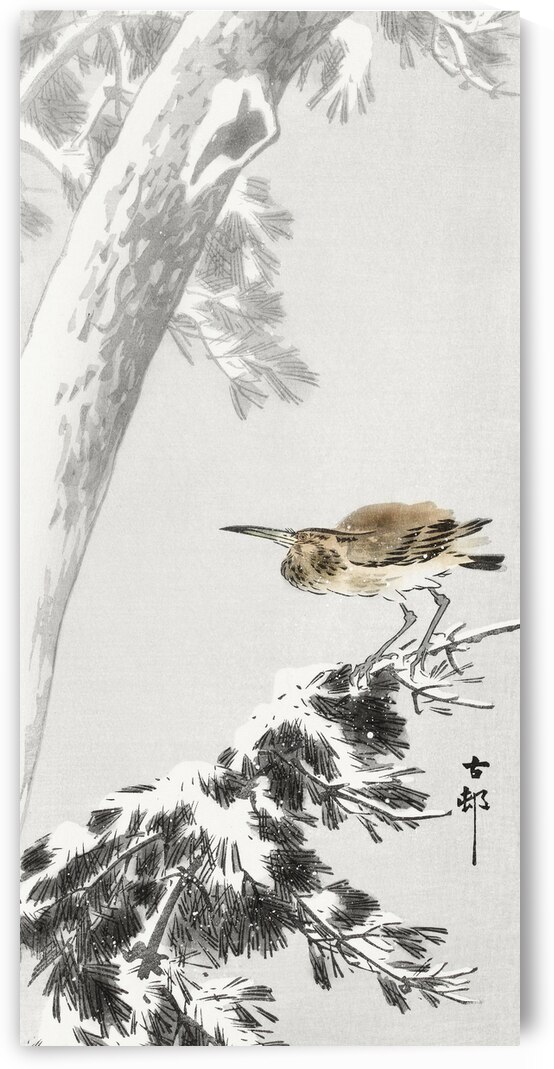 Indian quack on snowy tree branch 1900 - 1930 by Ohara Koson 1877-1945. by IStockHistory com