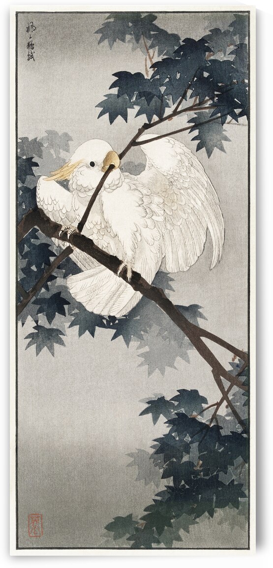 Yellow crested cockatoo in tree 1900 - 1940 by Ohara Koson n 1877-1945. by IStockHistory com