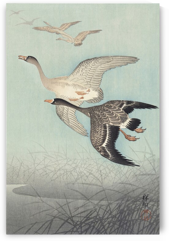 Great geese in flight 1925 - 1936 by Ohara Koson 1877-1945. by IStockHistory com