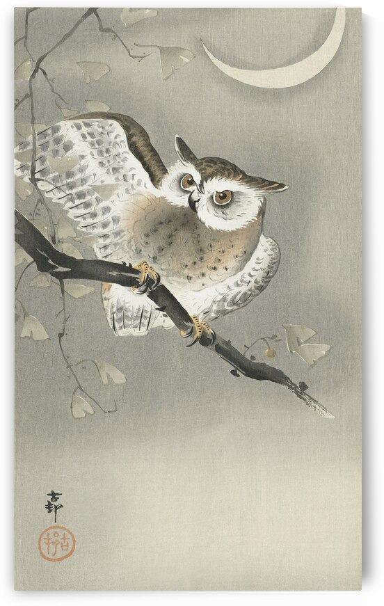 Long-eared owl in ginkgo 1900 - 1930 by Ohara Koson 1877-1945. by IStockHistory com