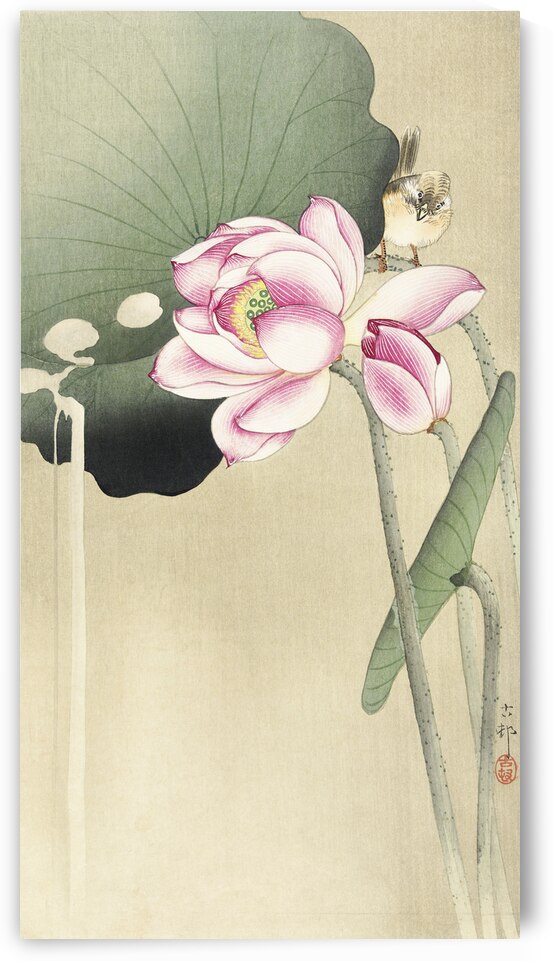 Songbird and Lotus 1900 - 1936 by Ohara Koson 1877-1945. by IStockHistory com