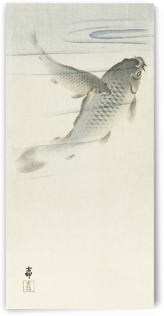 Carp 1900 - 1936 by Ohara Koson 1877-1945. by IStockHistory com