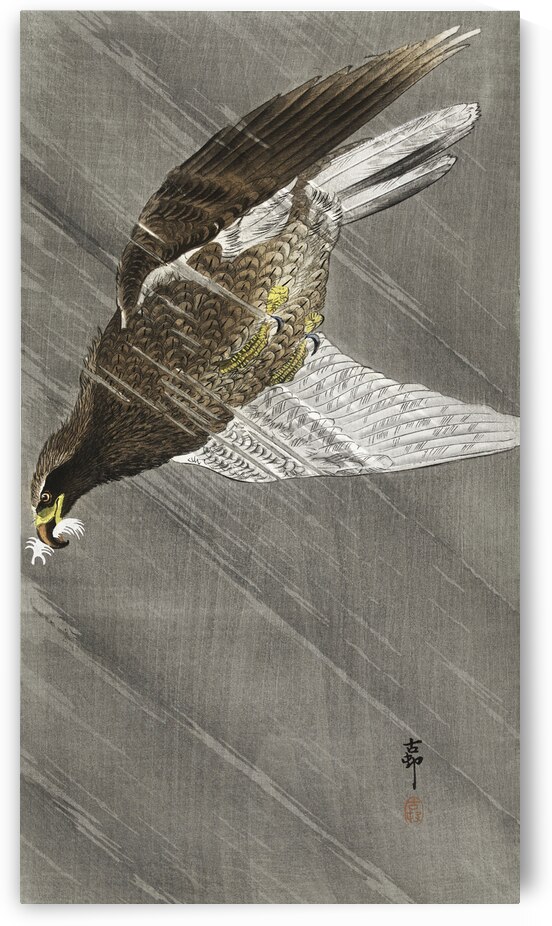 Downward flying eagle 1900 - 1930 by Ohara Koson 1877-1945. by IStockHistory com