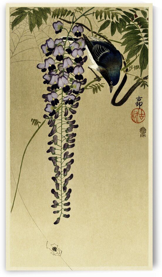 Flycatcher at wisteria 1900 - 1910 by Ohara Koson 1877-1945. by IStockHistory com
