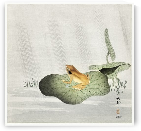 Frog on lotus leaf 1900 - 1930 by Ohara Koson 1877-1945. by IStockHistory com