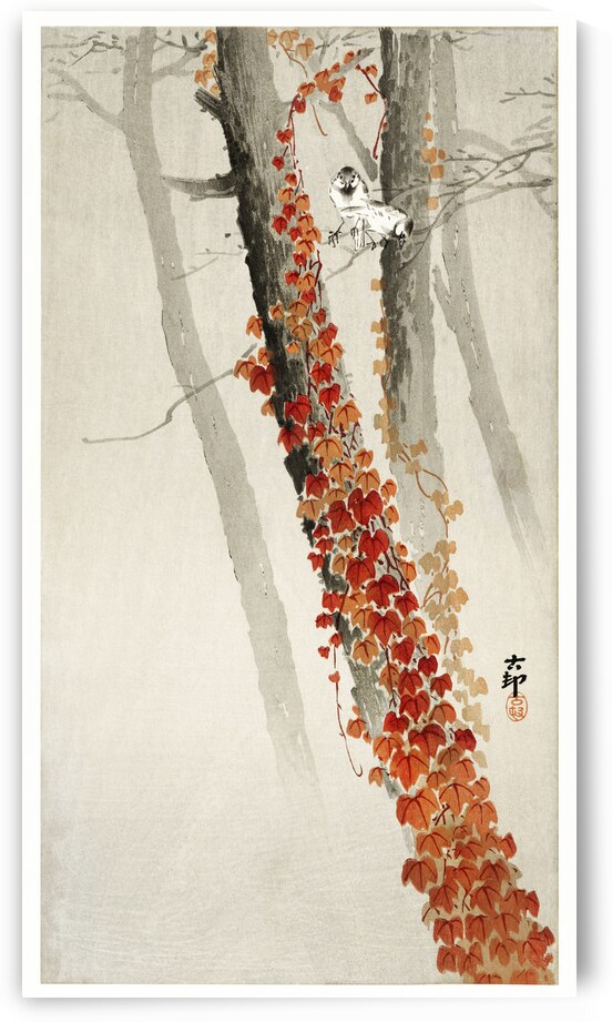 Red ivy 1900 - 1930 by Ohara Koson 1877-1945. by IStockHistory com