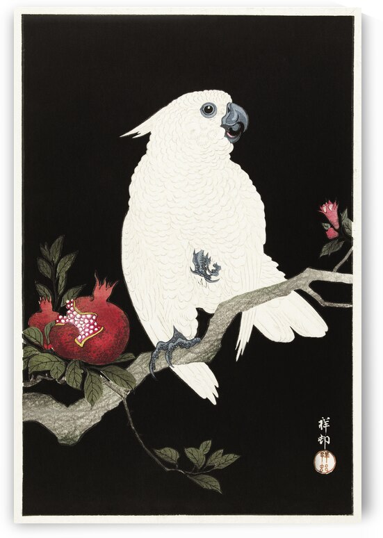Birds on a branch 1900 - 1936 by Ohara Koson 1877-1945. by IStockHistory com