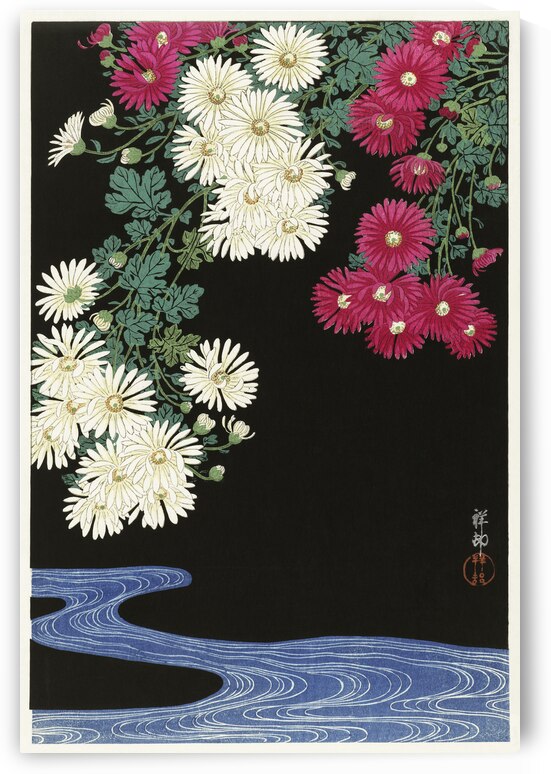 Chrysanthemums 1925-1936 by Ohara Koson 1877-1945. by IStockHistory com
