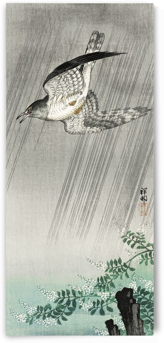 Cuckoo in storm 1925 - 1936 by Ohara Koson 1877-1945. by IStockHistory com