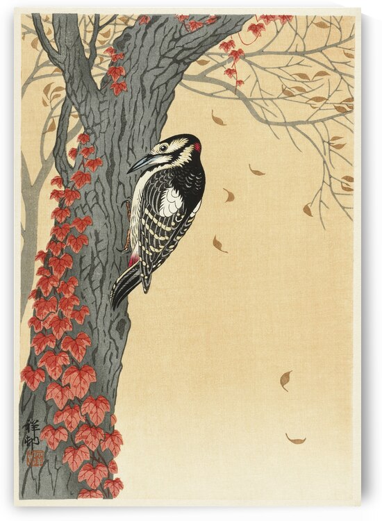 Great spotted woodpecker in tree with red ivy 1925 - 1936 by Ohara Koson 1877-1945. by IStockHistory com