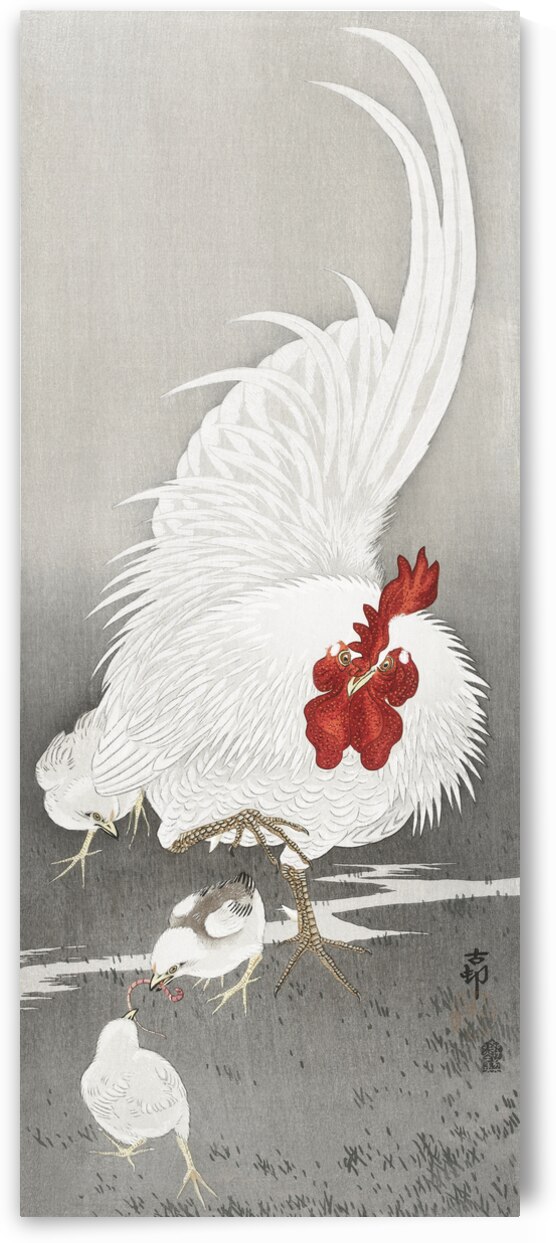 Rooster and three chicks 1900 - 1910 by Ohara Koson 1877-1945. by IStockHistory com
