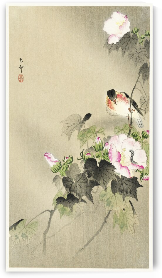 Bird and caterpillar 1900 - 1930 by Ohara Koson 1877-1945. by IStockHistory com