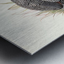 Numida mitrata. 1872 Metal print