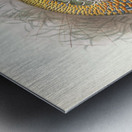 Meleagris ocellata. 1872 Metal print