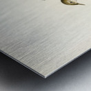 Red warbler Acrocephalus streperus Metal print